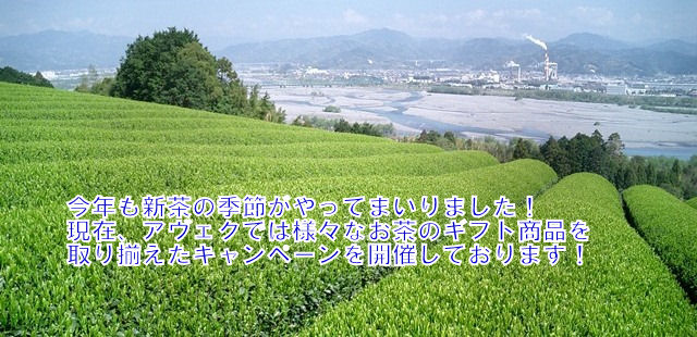 新茶キャンペーン